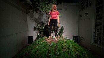 La obra se presenta en