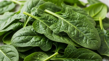 El vegetal de hoja verde