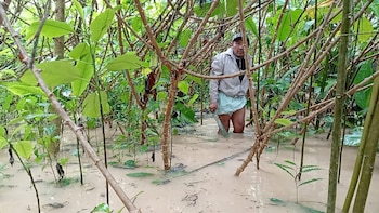 Foto: Indígena Tvdigital / Facebook