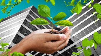 Elabora el caso de negocio para tu iniciativa de sostenibilidad