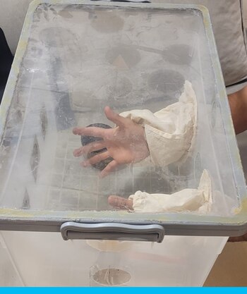 El laboratorio estaba oculto detrás