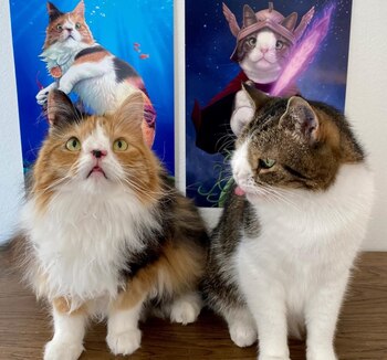 Monty y Molly viven ahora