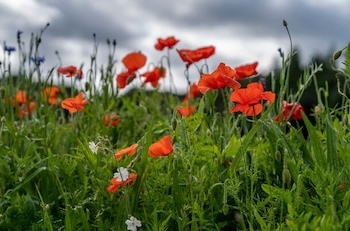 El aumento de las temperaturas