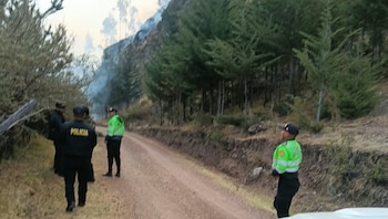 El incendio afectó aproximadamente 10 hectáreas de bosque plantado, formación boscosa, vegetación arbustiva y pastos naturales. Difusión
