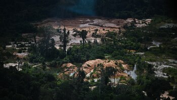 Fondo Amazonía de Brasil aprobó