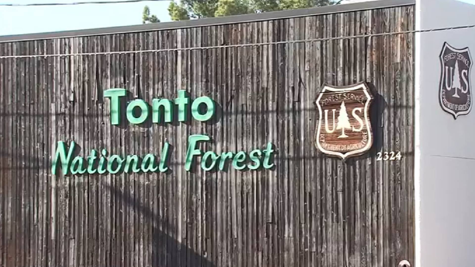 Los guardabosques hallaron en Payson Pine un campamento ilegal que funcionaba como residencia clandestina en terreno federal del Bosque Nacional Tonto (AZFamily 3TV)