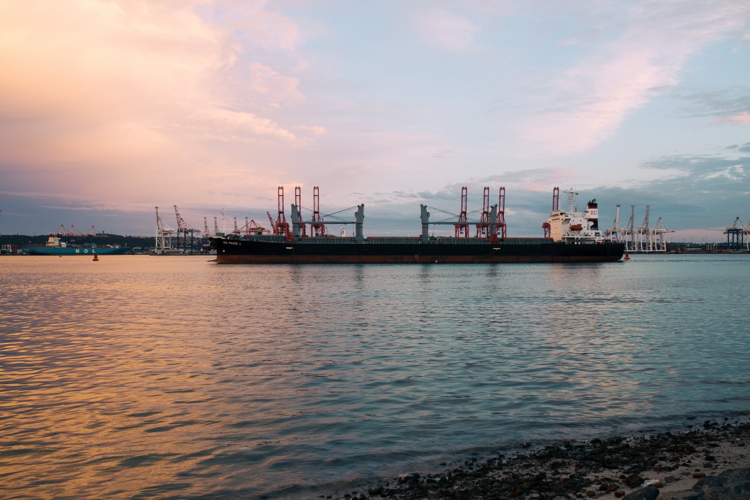 El proyecto Amigo GNL contempla exportar más de 5.1 millones de toneladas anuales de gas natural licuado hacia mercados asiáticos, con una infraestructura terrestre y marítima frente a la costa de Sonora, además de la llegada de hasta 175 buques metaneros al año al Golfo de California, lo que pone en peligro a la fauna marina que lo habita. (Nuestro Futuro A.C.)