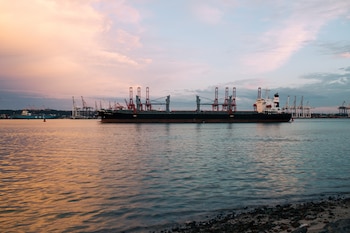 El proyecto Amigo GNL contempla exportar más de 5.1 millones de toneladas anuales de gas natural licuado hacia mercados asiáticos, con una infraestructura terrestre y marítima frente a la costa de Sonora, además de la llegada de hasta 175 buques metaneros al año al Golfo de California, lo que pone en peligro a la fauna marina que lo habita.