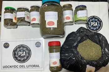 Los investigadores secuestraron más de un kilogramo de marihuana en los procedimientos (Fuente: Fiscales)