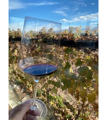 VINOS A LA CARTA