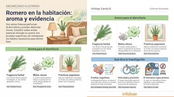 Ilustraciones de un dormitorio con un jarrón de romero, ramitas en manojo e íconos explicativos sobre un fondo claro con texto informativo.