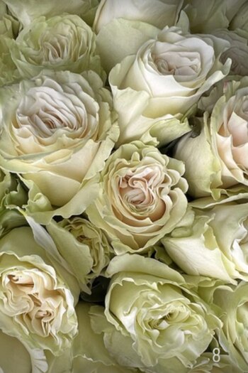 La publicación de Benjamín Vicuña