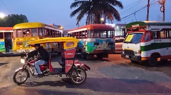 Mototaxi roja y amarilla con conductor, y tres buses de transporte público de colores variados, estacionados en calle con palmera y alumbrado público