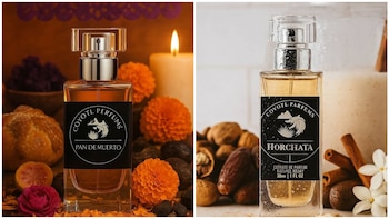 coyotl -México- 31 marzo