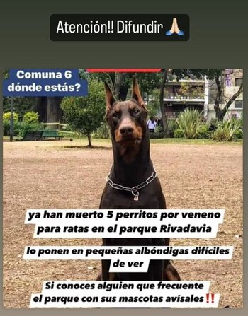 Otro de los posteos que