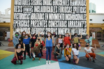 El caso de Thelma Fardín