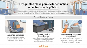 Infografía sobre chinches en el transporte público con ilustraciones de un vagón, asientos tapizados, espacio bajo asientos y un barandal con chinches.