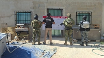 Desmantelan dos narcoviveros en Quintana Roo: cae “El Tata”, presunto distribuidor de marihuana en Cancún y Playa del Carmen