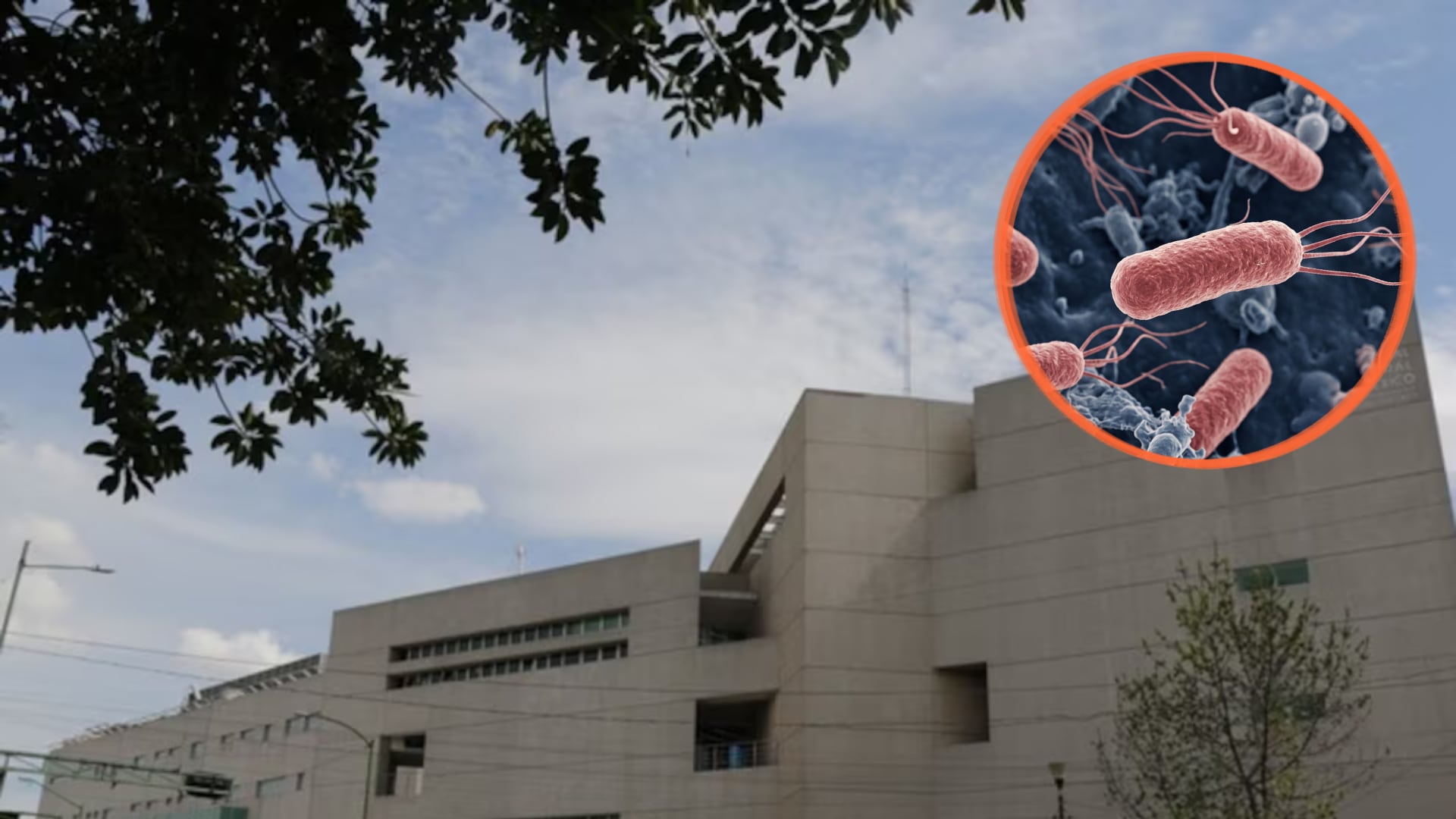 El Hospital General de México suspendió el servicio de comedor. Segob