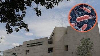 Quince médicos del Hospital General de México terminan en terapia intensiva por salmonelosis