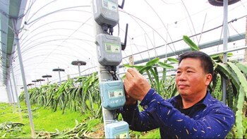 La agricultura china necesita incorporar