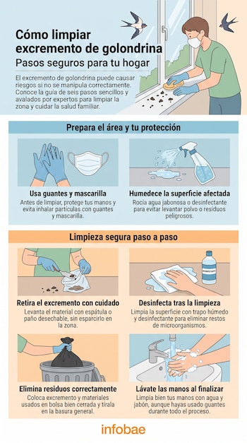 Infografía que ilustra una persona limpiando excremento de golondrina en una ventana, herramientas de limpieza y elementos de protección personal.