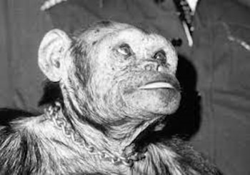 Oliver terminó sus días en