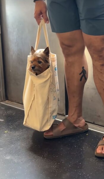 Las soluciones creativas de los