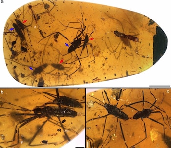 En el tranquilo pueblo de