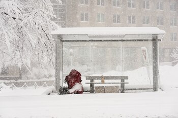Una estación de bus cubierta
