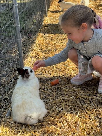 pampita ana garcía moritán