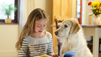 Cómo es la original terapia