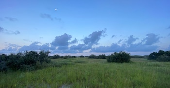 La ampliación de santuarios naturales