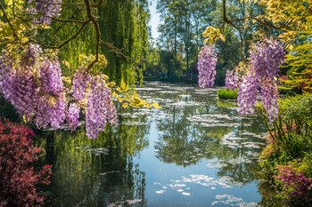 Giverny, en Francia (Adobe Stock).