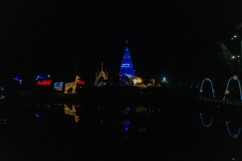 Para construir el árbol ecológico