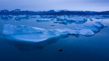 La apuesta de Donald Trump