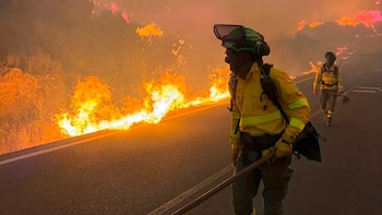 Al menos seis muertos y desalojos masivos por el incendio de Los Gallardos en Almería