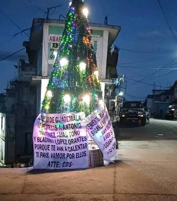 Uno de los mensajes fue hallado en un árbol (Especial)