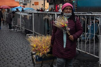 Las espigas de trigo, la