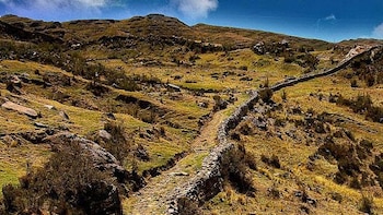 Sin ruedas ni caballos: la