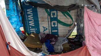 Maia: la carpa por dentro