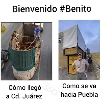 La creatividad de los internautas