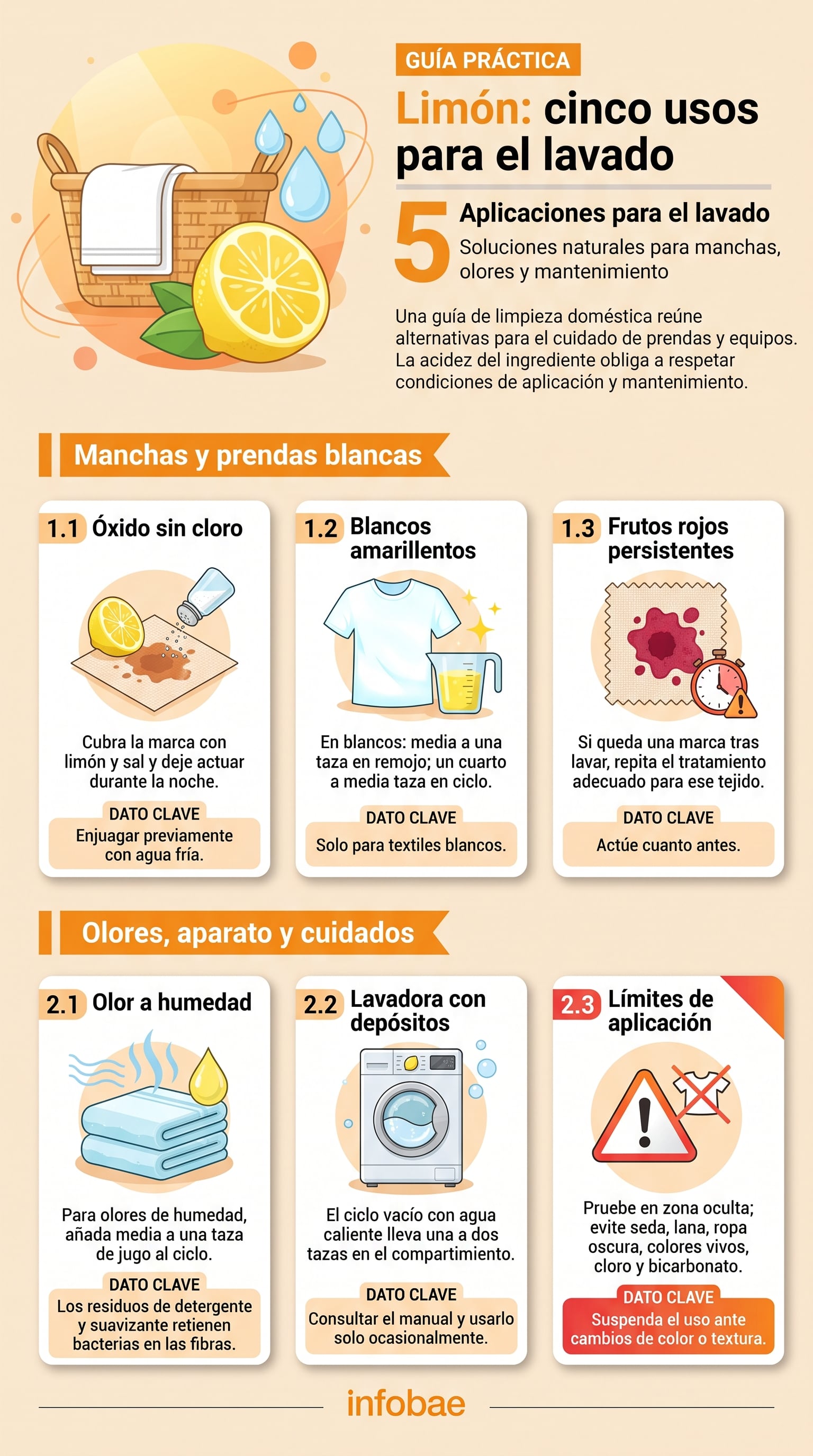 La acidez del limón requiere precauciones para proteger las fibras, los colores y los componentes de la lavadora. (Imagen Ilustrativa Infobae)