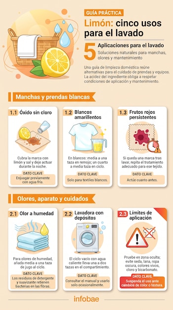 Infografía con seis tarjetas ilustradas con ropa, limones, salero, lavadora y señales de advertencia junto a textos explicativos.