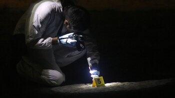 Jornada violenta en Guanajuato: al