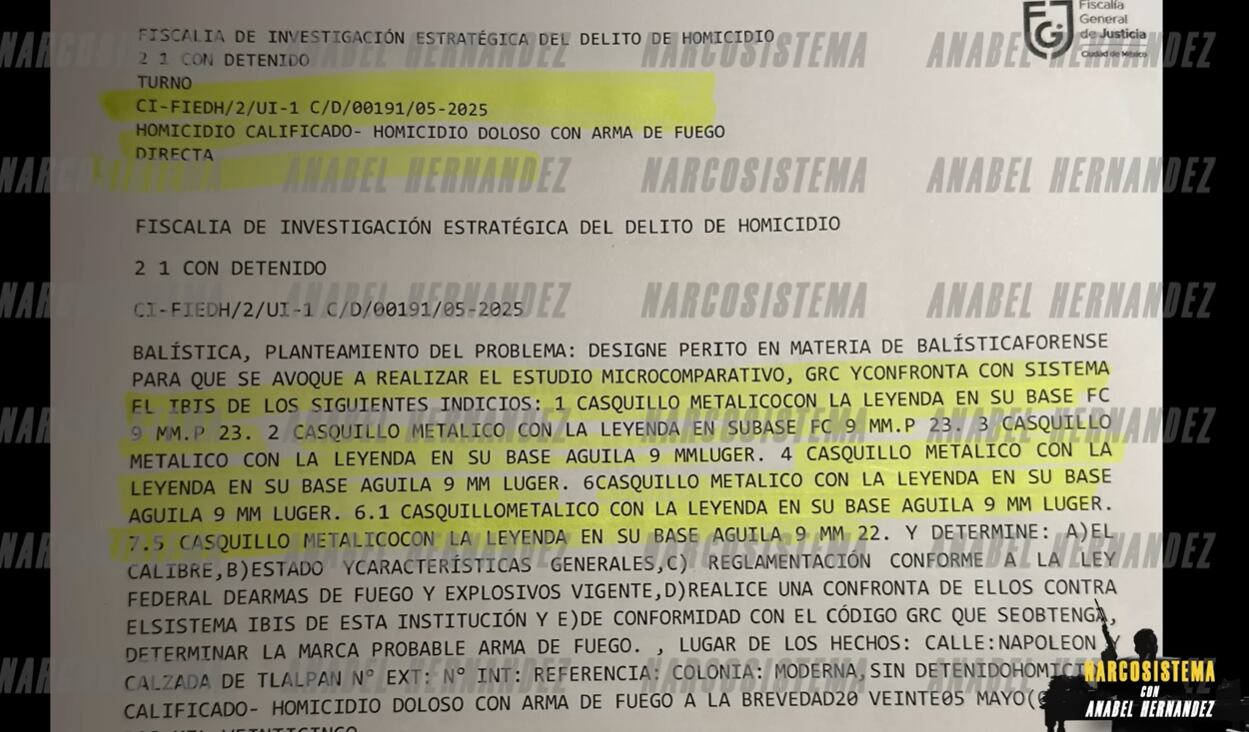Anabel Hernández reveló detalles de la investigación sobre el asesinato de Ximena Guzmán y José Muñoz. (Narcosistema/Captura de pantalla)