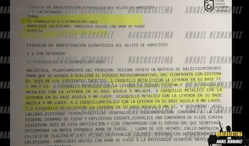 Anabel Hernández reveló detalles de