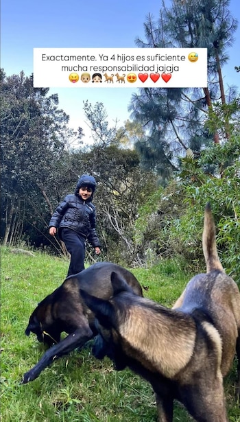 Los perros también hacen parte
