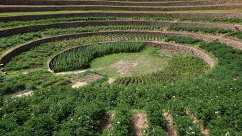 Perú impulsa un plan para