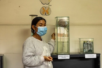 Museo del Cerebro